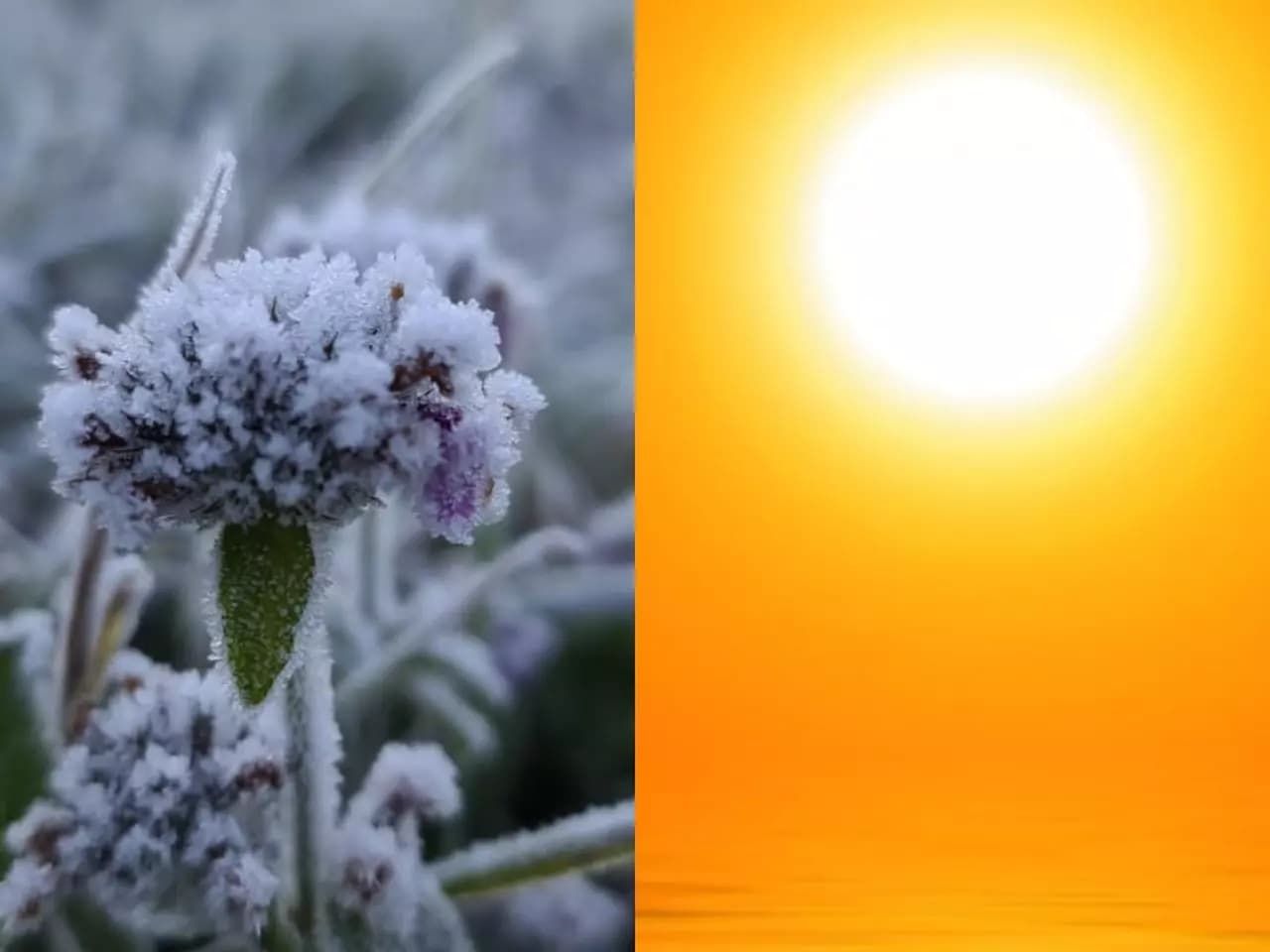 Foto da notícia: Separadas por + de 3 mil quilômetros, Quaraí e Guaraí vivenciam extremos no inverno brasileiro