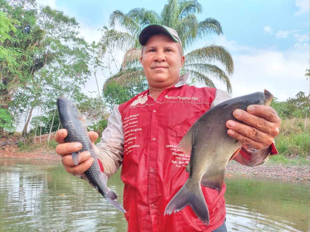Imagem da notícia: Morador de assentamento rural em Guaraí decide transformar cacimbas em criatório para peixes