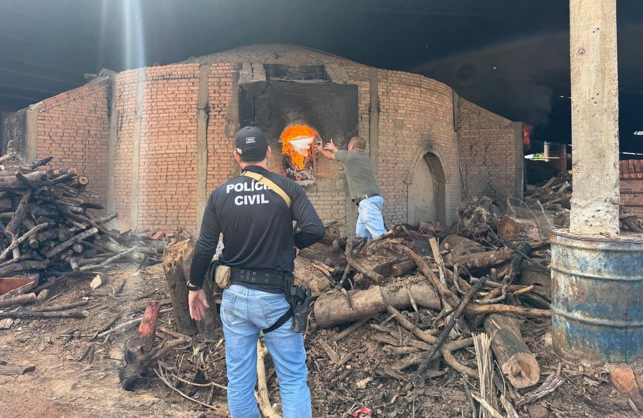 Foto da notícia: Polícia Civil incinera 4,6Kg de drogas e “farinha de bolo”, que traficante pensava ser cocaína