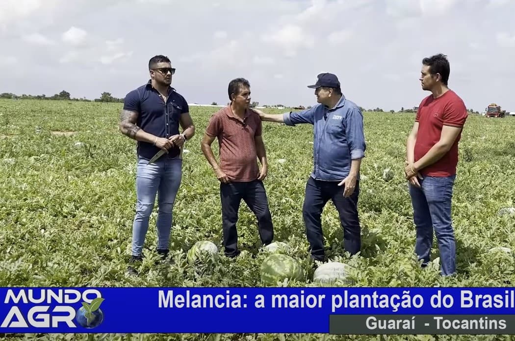 Imagem da notícia: Mundo Agro visita Guaraí e mostra maior plantio de melancia irrigada por gotejamento do Brasil