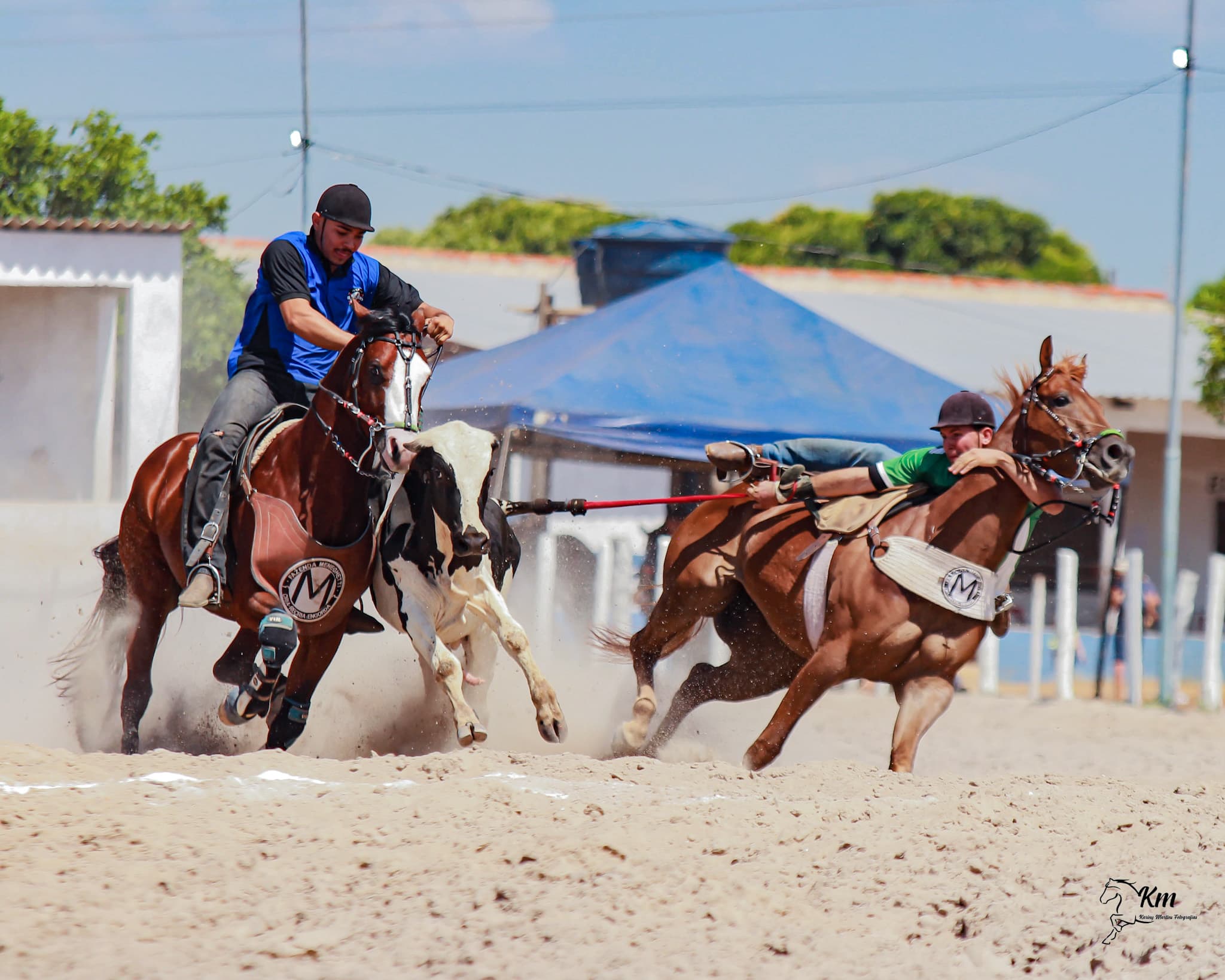 Imagem da notícia: Vaquejada oferece R$ 14 mil em premiações; evento acontece entre 10 e 12 de novembro em Guaraí