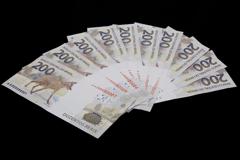 Imagem da notícia: Nova cédula de R$ 200,00 que estampa animal símbolo de Guaraí começa a circular no Brasil
