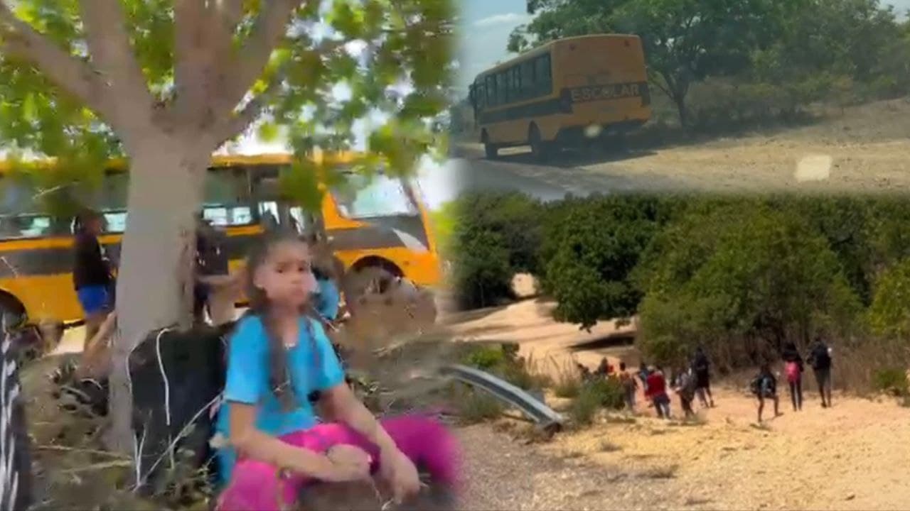 Imagem da notícia: Ônibus quebra pela 2ª vez em menos de 15 dias e deixa alunos “no prego” na zona rural de Guaraí