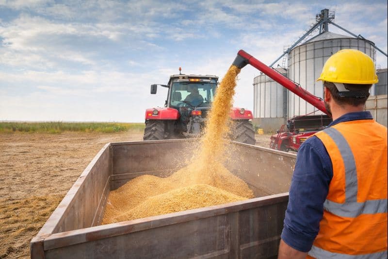 Foto da notícia: Employer recruta para vaga temporária em Guaraí; currículos devem ser enviados por WhatsApp