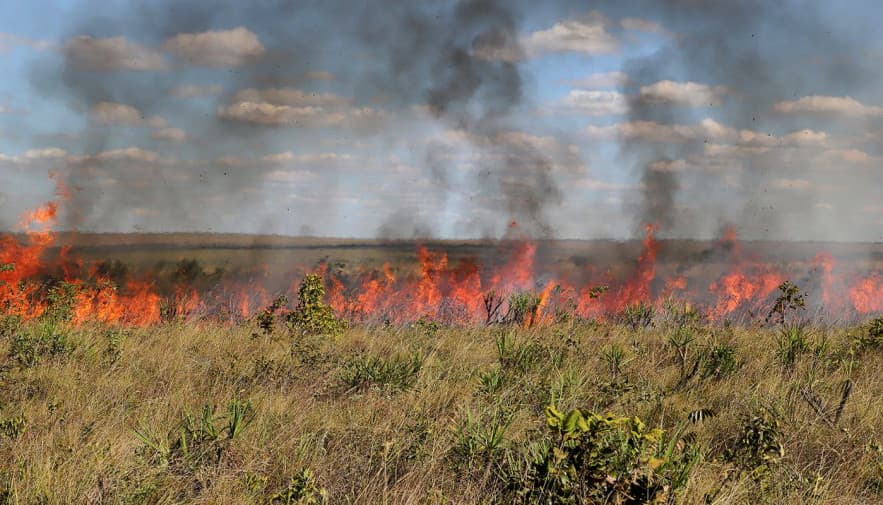 Imagem da notícia: Queimadas controladas são suspensas no Tocantins; medida vale de 20 de julho a 30 de outubro