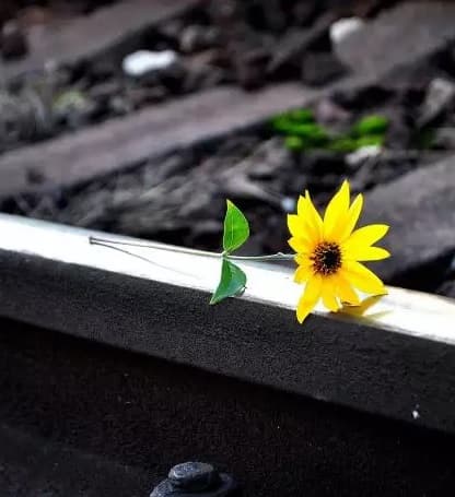 Imagem da notícia: O Guaraí Notícias não repercute casos de suicídio, salvo em situações bastante específicas