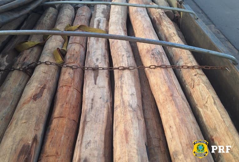 Imagem da notícia: PRF identifica divergências em carga de madeira e aponta indícios de crime ambiental em Guaraí