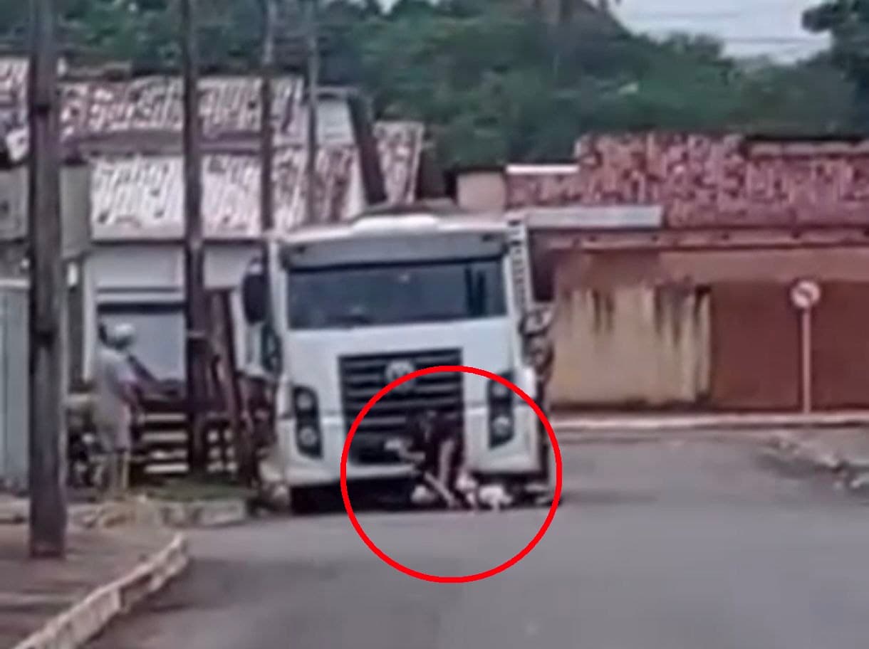 Imagem da notícia: Vídeo em Guaraí registra idoso sendo agredido por conta do seu cachorro ter latido para o agressor