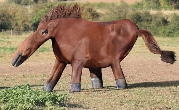 Imagem da notícia: Pai transforma desenhos infantis dos filhos em obras realistas; o resultado é hilário, veja aqui!