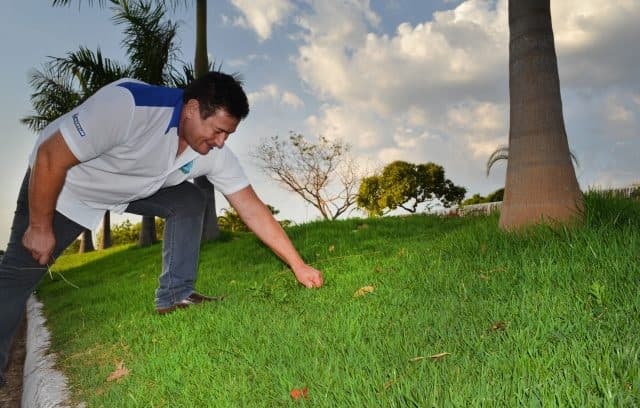 Imagem da notícia: Empresário adota canteiro público e preserva “oásis” durante o período de estiagem em Guaraí