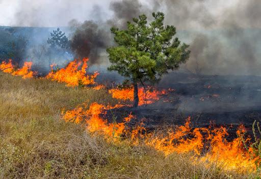 Projeto “Foco no Fogo” promove visitas em locais de Guaraí com altos índices de queimadas
