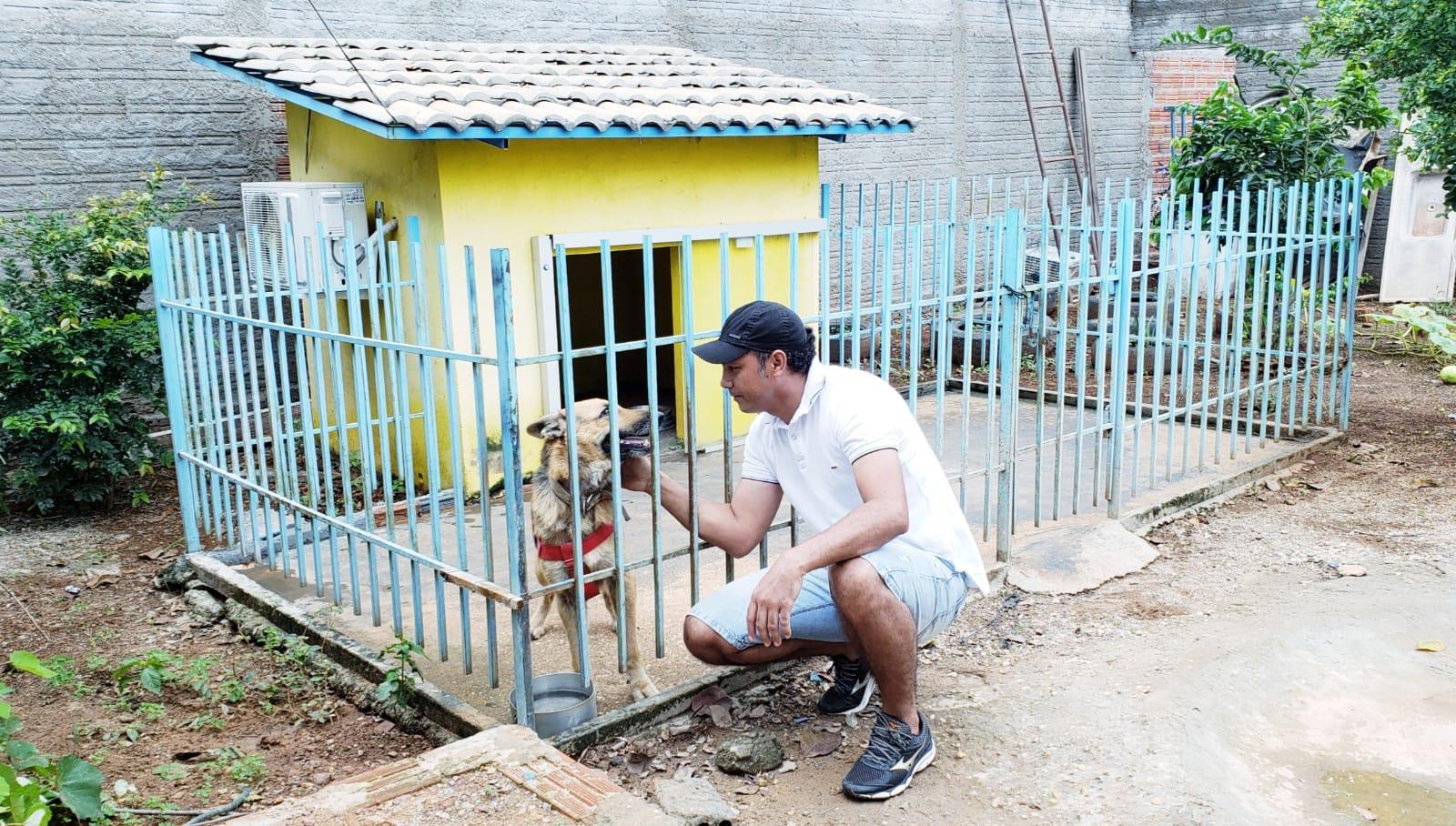 Cadela Hana, famosa por ter casinha com ar-condicionado, morre vítima de calazar em Guaraí