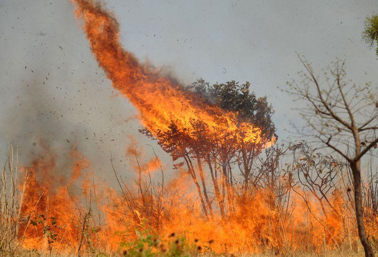 Guaraí já registra mais queimadas do que nos anos de 2018 e 2019 juntos; são 113 focos até 11/09