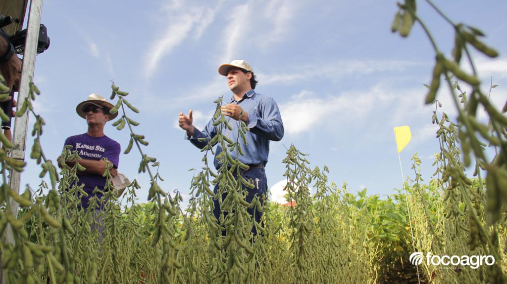 Circuito Técnico avalia potencial produtivo de 30 variedades de soja plantadas em Guaraí