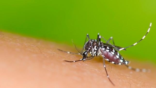 Tocantins registra aumento de 1.657,7% nos casos suspeitos de dengue, zika e chikungunya