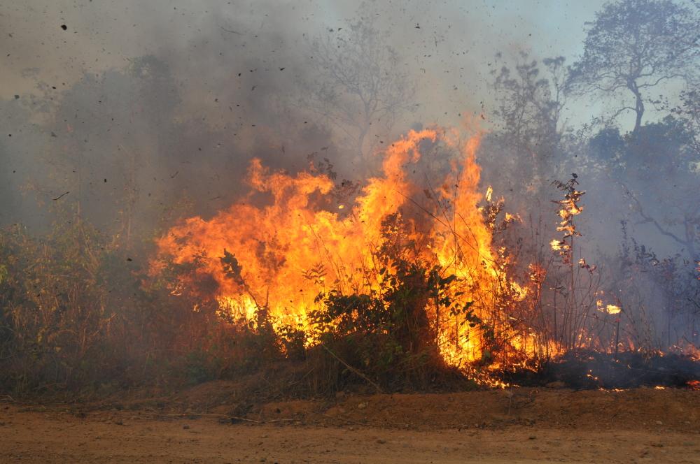Tocantins contabiliza mais de 4,6 mil focos de incêndio neste ano, 28,2% mais do que em 2018
