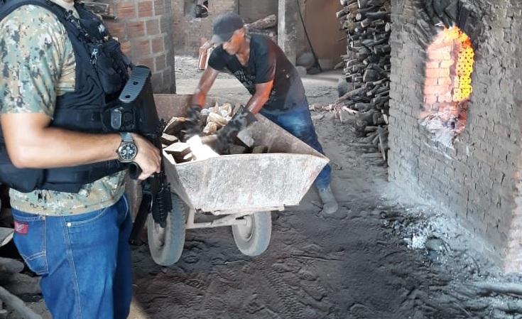 Polícia Civil incinera 120Kg de maconha em Guaraí; droga foi apreendida nos últimos 2 meses