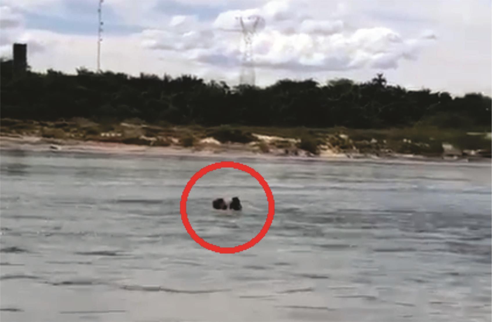 Vídeo mostra resgate de crianças guaraienses no Rio Tocantins; por pouco eles não se afogaram