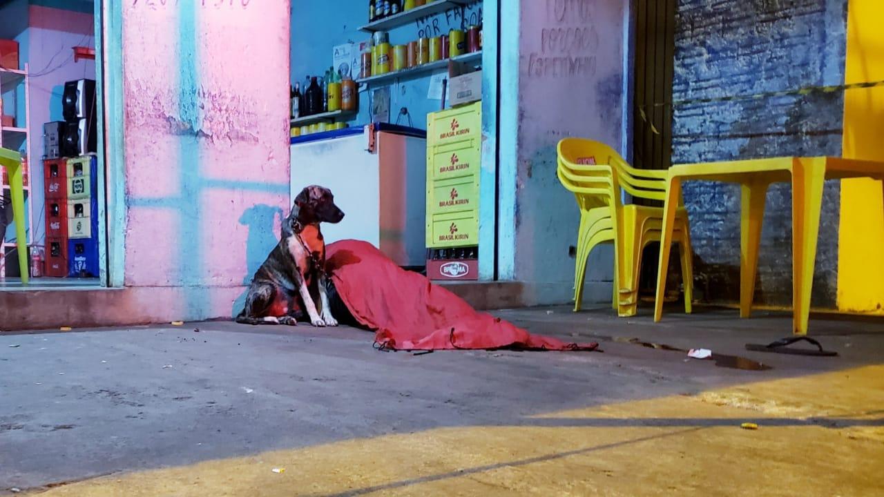 Cadelinha fica ao lado de dono assassinado próximo a um bar na região central de Guaraí