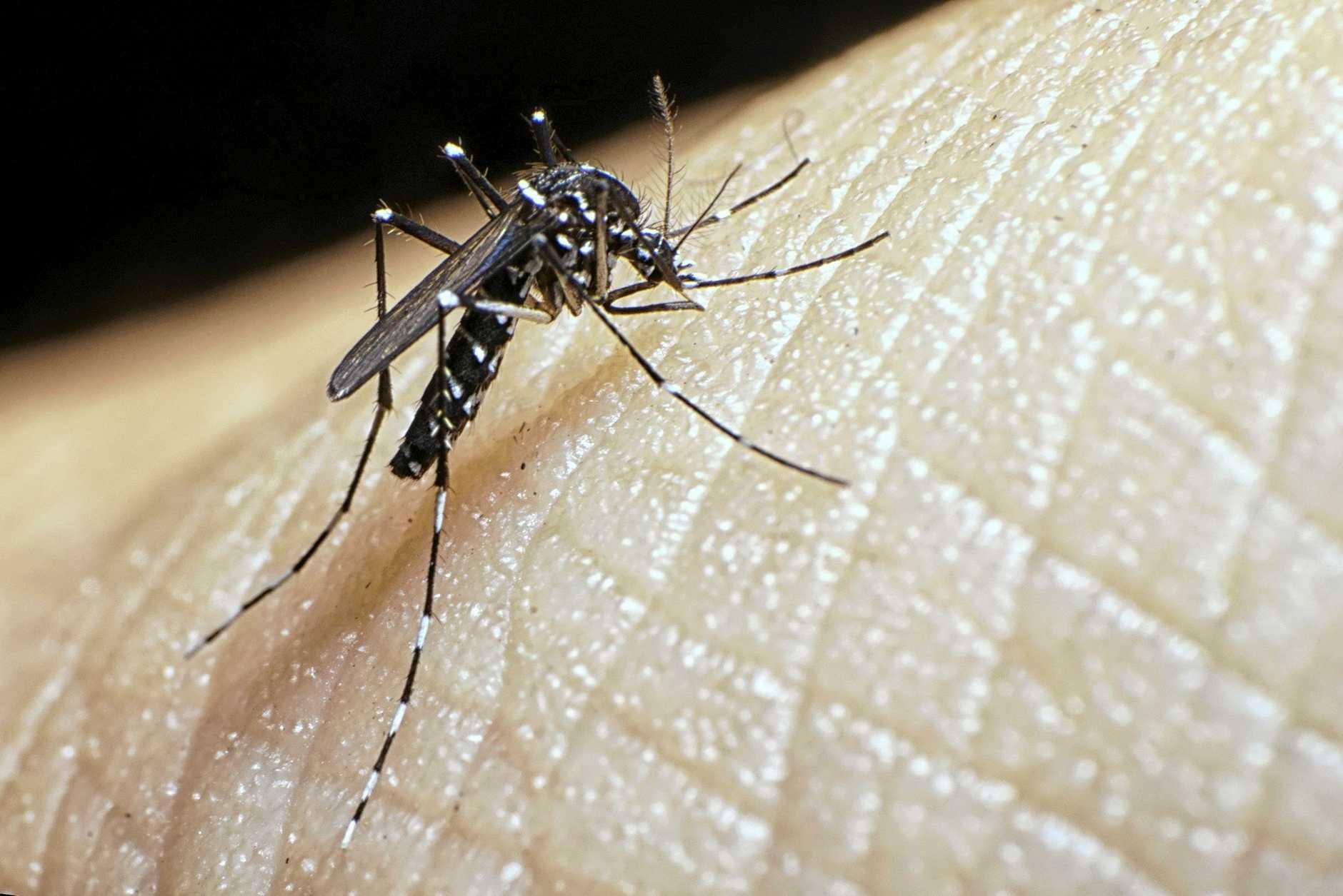 Guaraí e outros 28 municípios estão na lista prioritária contra o mosquito Aedes no Tocantins